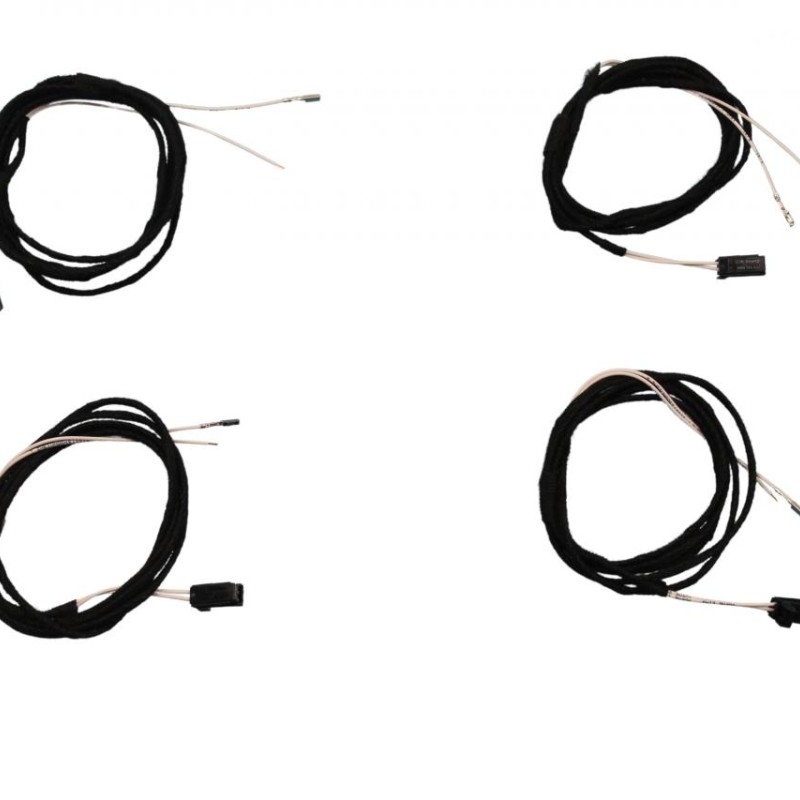 Komplettset Ambientenbeleuchtung Türen für Audi A6 4A, A7 4K