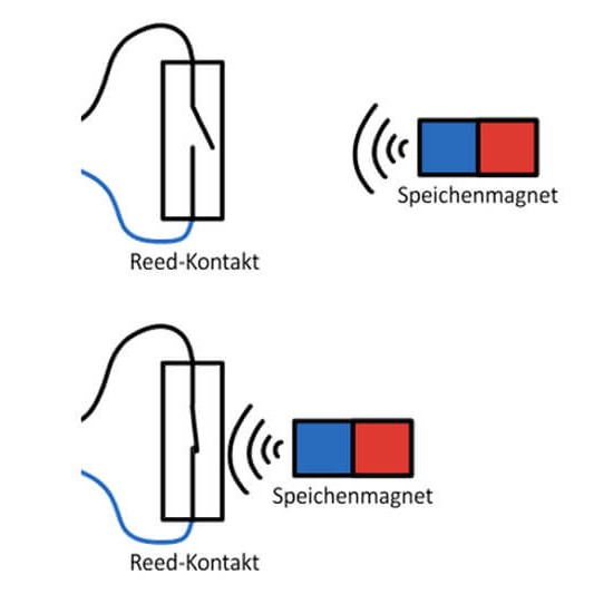 Magnet-Schalter (NO), Schließer