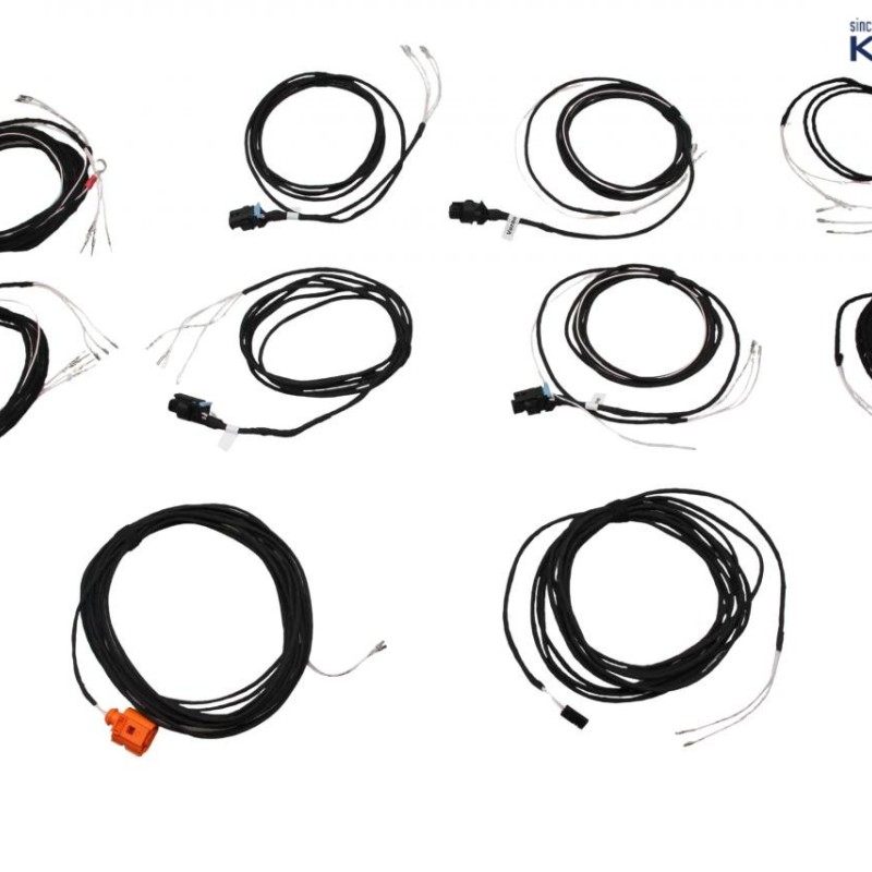 Komfortschlüssel Kessy für VW Passat B8