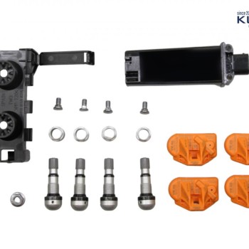 Reifendruck-Kontrollsystem (RDK) für Audi e-tron GE